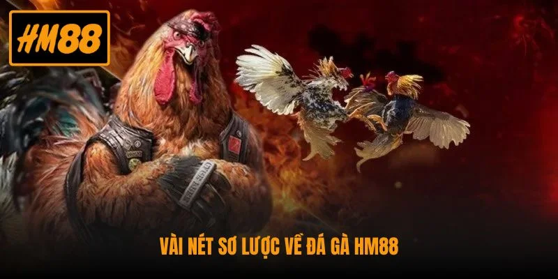 Đá Gà HM88 - Sân Chơi Đỉnh Cao Cho Các Tín Đồ Đam Mê 1 Vài nét sơ lược về đá gà HM88
