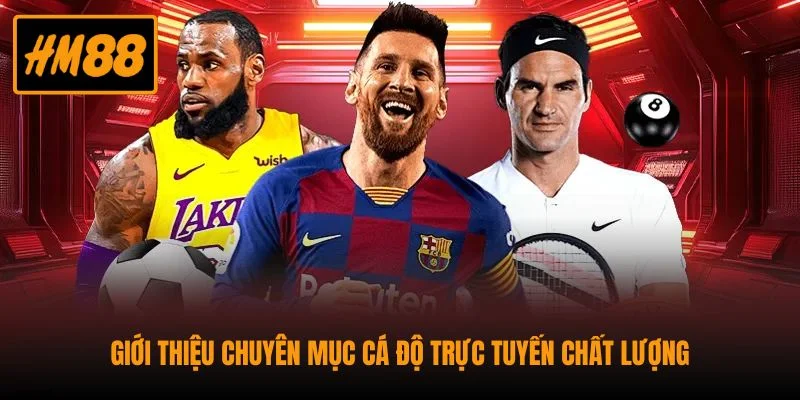 Thể Thao HM88 - Trải Nghiệm Kèo Hot Cập Nhật Siêu Nhanh 1 Giới thiệu chuyên mục cá độ trực tuyến chất lượng